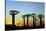 Madagascar, Morondava, Baobab Alley, Adansonia Grandidieri at Sunset-Anthony Asael-Stretched Canvas