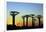 Madagascar, Morondava, Baobab Alley, Adansonia Grandidieri at Sunset-Anthony Asael-Framed Photographic Print