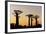 Madagascar, Morondava, Baobab Alley, Adansonia Grandidieri at Sunset-Anthony Asael-Framed Photographic Print