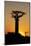 Madagascar, Morondava, Baobab Alley, Adansonia Grandidieri at Sunset-Anthony Asael-Mounted Photographic Print