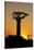 Madagascar, Morondava, Baobab Alley, Adansonia Grandidieri at Sunset-Anthony Asael-Stretched Canvas