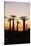 Madagascar, Morondava, Baobab Alley, Adansonia Grandidieri at Sunset-Anthony Asael-Stretched Canvas