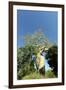 Madagascar, Morondava, Baobab Alley, Lovers Baobab, Le Baobab Amoureux-Anthony Asael-Framed Photographic Print