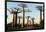 Madagascar, Morondava, Baobab Alley, View on Adansonia Grandidieri-Anthony Asael-Framed Photographic Print