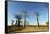 Madagascar, Morondava, Baobab Alley, View on Adansonia Grandidieri-Anthony Asael-Framed Stretched Canvas