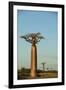 Madagascar, Morondava, Baobab Alley, View on Adansonia Grandidieri-Anthony Asael-Framed Photographic Print