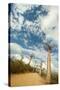 Madagascar, Morondava, Baobab Alley, View on Adansonia Grandidieri-Anthony Asael-Stretched Canvas