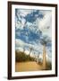 Madagascar, Morondava, Baobab Alley, View on Adansonia Grandidieri-Anthony Asael-Framed Photographic Print