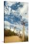 Madagascar, Morondava, Baobab Alley, View on Adansonia Grandidieri-Anthony Asael-Stretched Canvas