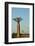 Madagascar, Morondava, Baobab Alley, View on Adansonia Grandidieri-Anthony Asael-Framed Premium Photographic Print