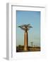 Madagascar, Morondava, Baobab Alley, View on Adansonia Grandidieri-Anthony Asael-Framed Premium Photographic Print