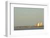 Madagascar, Morondava, Fisherman Boat with Large White Sails at Sea-Anthony Asael-Framed Photographic Print