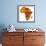 Madagascar on Actual Map of Africa-michal812-Framed Art Print displayed on a wall