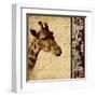 Madagascar Safari I-Patricia Pinto-Framed Art Print