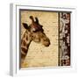 Madagascar Safari I-Patricia Pinto-Framed Art Print