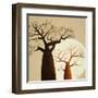 Madagascar Safari II-Patricia Pinto-Framed Art Print