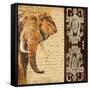 Madagascar Safari III-Patricia Pinto-Framed Stretched Canvas