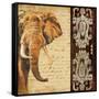 Madagascar Safari III-Patricia Pinto-Framed Stretched Canvas