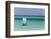 Madagascar, Salary, a Pirogue Sailing in the Blue Sea-Roberto Cattini-Framed Photographic Print