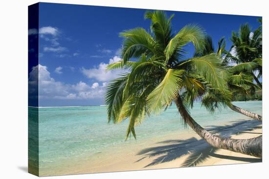 Madagascar Sandy Beach and Palm Trees-null-Stretched Canvas