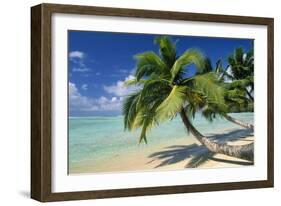 Madagascar Sandy Beach and Palm Trees-null-Framed Photographic Print