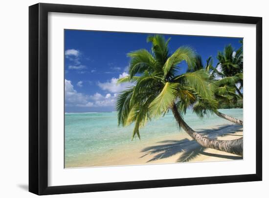 Madagascar Sandy Beach and Palm Trees-null-Framed Photographic Print