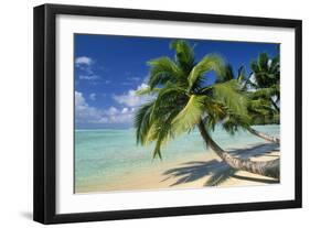 Madagascar Sandy Beach and Palm Trees-null-Framed Photographic Print