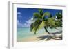 Madagascar Sandy Beach and Palm Trees-null-Framed Photographic Print