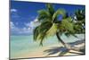 Madagascar Sandy Beach and Palm Trees-null-Mounted Photographic Print