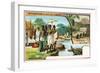 Madagascar, the Trial by Crocodiles and Customary Burial Places, 1908-null-Framed Giclee Print