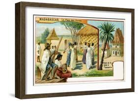 Madagascar-null-Framed Giclee Print