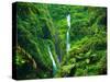 Madakaripura  Waterfall, East Java, Indonesia-lkunl-Stretched Canvas