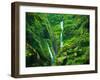 Madakaripura  Waterfall, East Java, Indonesia-lkunl-Framed Photographic Print