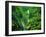 Madakaripura  Waterfall, East Java, Indonesia-lkunl-Framed Photographic Print