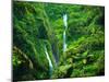 Madakaripura  Waterfall, East Java, Indonesia-lkunl-Mounted Photographic Print