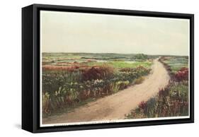 Madaket Moor, Nantucket, Massachusetts-null-Framed Stretched Canvas