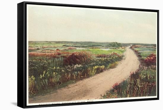 Madaket Moor, Nantucket, Massachusetts-null-Framed Stretched Canvas