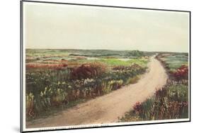 Madaket Moor, Nantucket, Massachusetts-null-Mounted Art Print