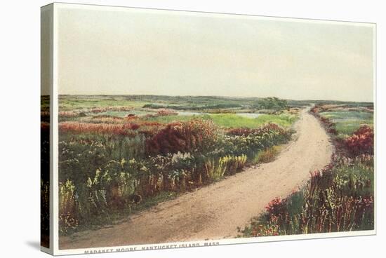 Madaket Moor, Nantucket, Massachusetts-null-Stretched Canvas