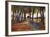 Madam Martelli Castiglioncello, Circa 1867-Giovanni Fattori-Framed Giclee Print