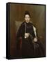 Madame Cogghe, 1890 (Oil on Canvas)-Remy Cogghe-Framed Stretched Canvas