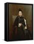 Madame Cogghe, 1890 (Oil on Canvas)-Remy Cogghe-Framed Stretched Canvas