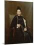 Madame Cogghe, 1890 (Oil on Canvas)-Remy Cogghe-Mounted Giclee Print