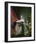 Madame De Pompadour, 1763-64-Francois-Hubert Drouais-Framed Giclee Print