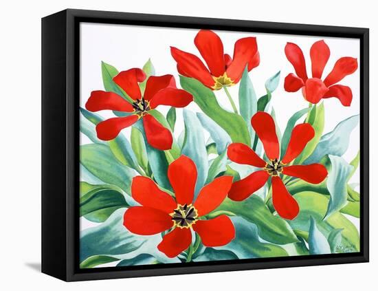 Madame Lefeber Tulips 2-Christopher Ryland-Framed Stretched Canvas