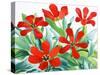 Madame Lefeber Tulips 2-Christopher Ryland-Stretched Canvas