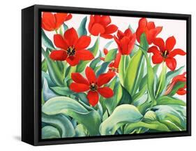 Madame Lefeber Tulips-Christopher Ryland-Framed Stretched Canvas