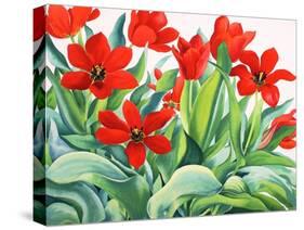 Madame Lefeber Tulips-Christopher Ryland-Stretched Canvas