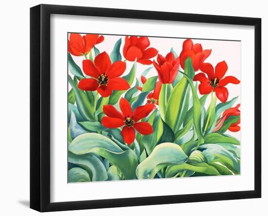 Madame Lefeber Tulips-Christopher Ryland-Framed Giclee Print