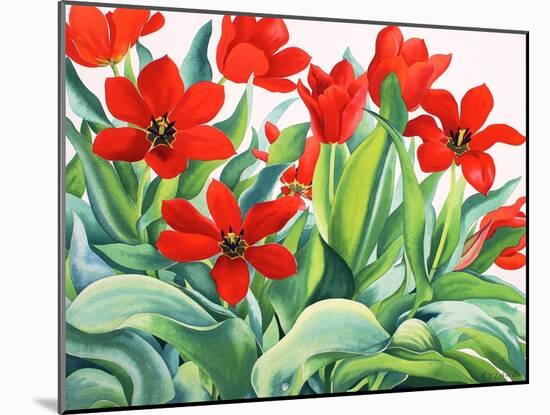 Madame Lefeber Tulips-Christopher Ryland-Mounted Giclee Print